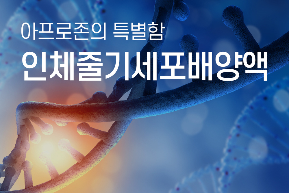 과정 이미지